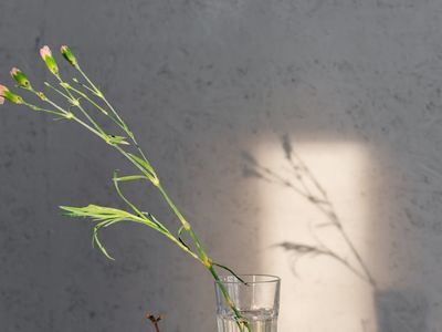 Empty, peaceful room with minimalist decor for practice.